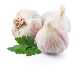 Garlic
