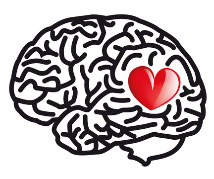amour Coeur cerveau