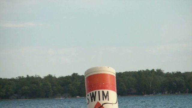 Seagull on No Swimming Buoy