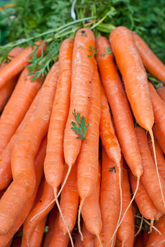 Fresh healthy bio carrots on farmer market