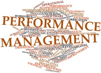 Word cloud for Performance management