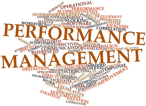 Word cloud for Performance management