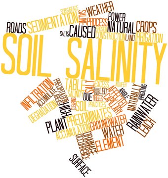 Word Cloud For Soil Salinity