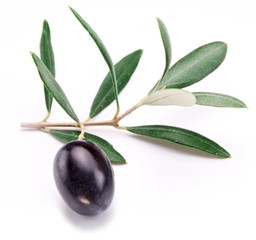 Ripe black olive with leaves.