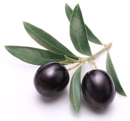 Ripe black olives with leaves.
