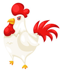 chicken isolated on white background vector