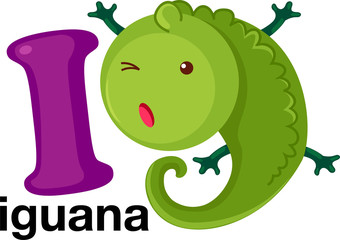 Animal alphabet letter - I 