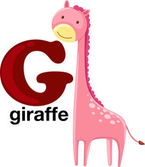 Animal alphabet letter - G 