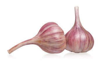Garlic bulbs
