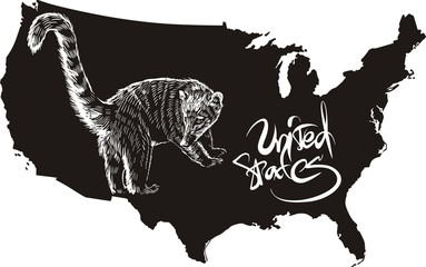 Coati and U.S. outline map