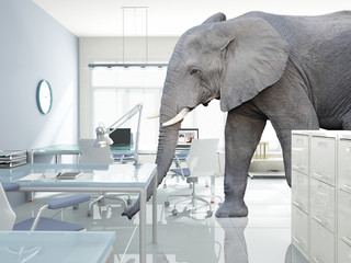  big elephant in a modern office without anyone. concept of hidden and unsolved problems. difficulties and solutions. - obrazy, fototapety, plakaty