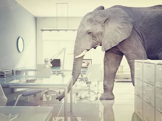 Foto op Plexiglas olifant in een kamer © tiero