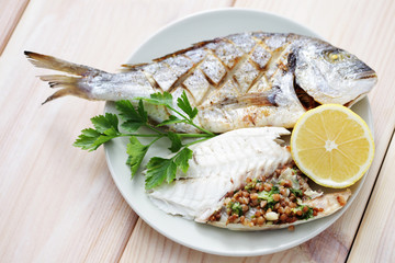 dorada fish
