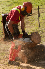Lumberjack working