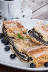 Plate with fresh baked Poppy-Seed Cake