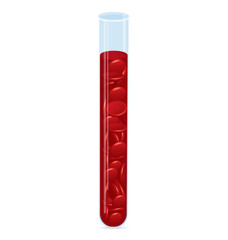 Blood cell test tube vector