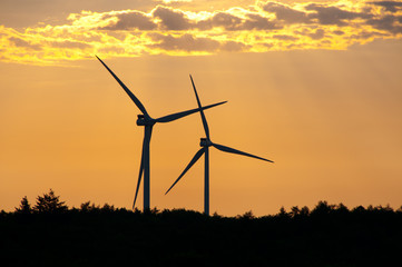 Wind Mill / Wind Turbine / Wind Plant