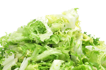 escarole endive
