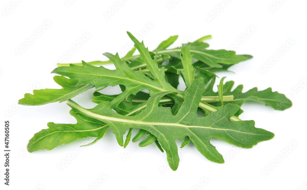 Wall mural rucola leaves