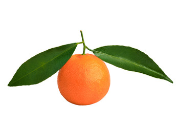tangerine with green leaf