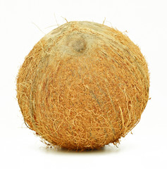 Coconut isolated on white background