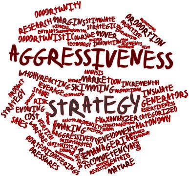 Word cloud for Aggressiveness strategy