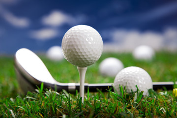 Let's play a round of golf!