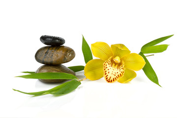 yellow orchid with zen pebbles, isolated on white