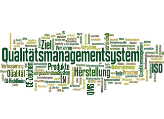Qualitätsmanagementsystem (QMS)