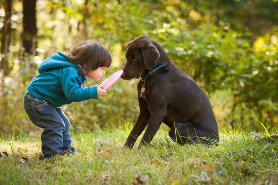 Young child playing fetch with dog