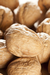 Fresh Organic Brown Walnuts