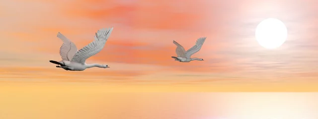 Sheer curtains Birds, bees Swans migration - 3D render