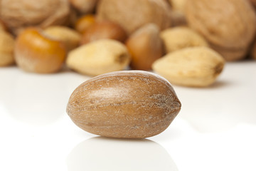 Fresh Organic Pecan in its Shell