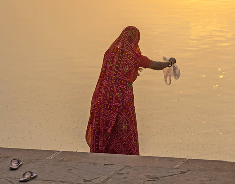woman feeds the fishes in the holy lake in Pushkar