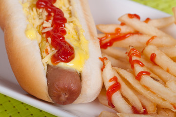 fresh hotdog with french fries on a side