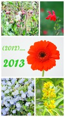 année 2013,composition florale