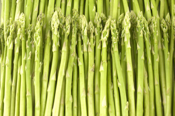 Green asparagus background