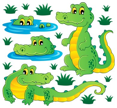 Image with crocodile theme 3