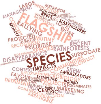 Word cloud for Flagship species