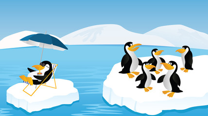 Fototapeta premium Penguins