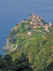 Fototapeta na wymiar Den Corniglia w Cinque Terre