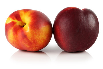 Nectarines.