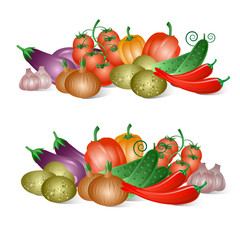 Vector vegetables on the white background