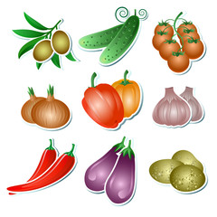 Set of vector vegetables stickers on the white background
