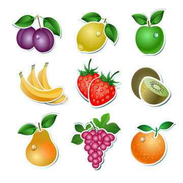 Set of vector fruit on the white background