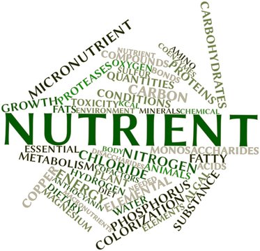 Word cloud for Nutrient