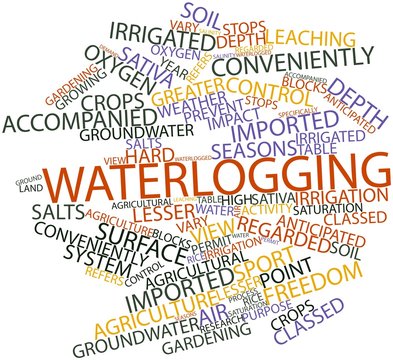 Word cloud for Waterlogging