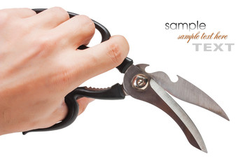 Scissors stainless steel isolated on white background