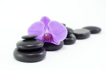 Fototapeta na wymiar Black massage stones with purple flower