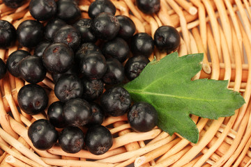 chokeberry with green leaf on wicker mat close-up